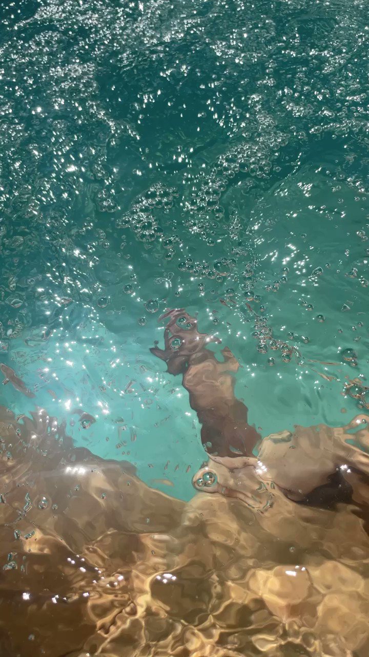 The Dream On Twitter Would You Swim With Me Https t co 4jEMpuEX43 The Dream On Twitter Would You Swim With Me Https t co 4jEMpuEX43