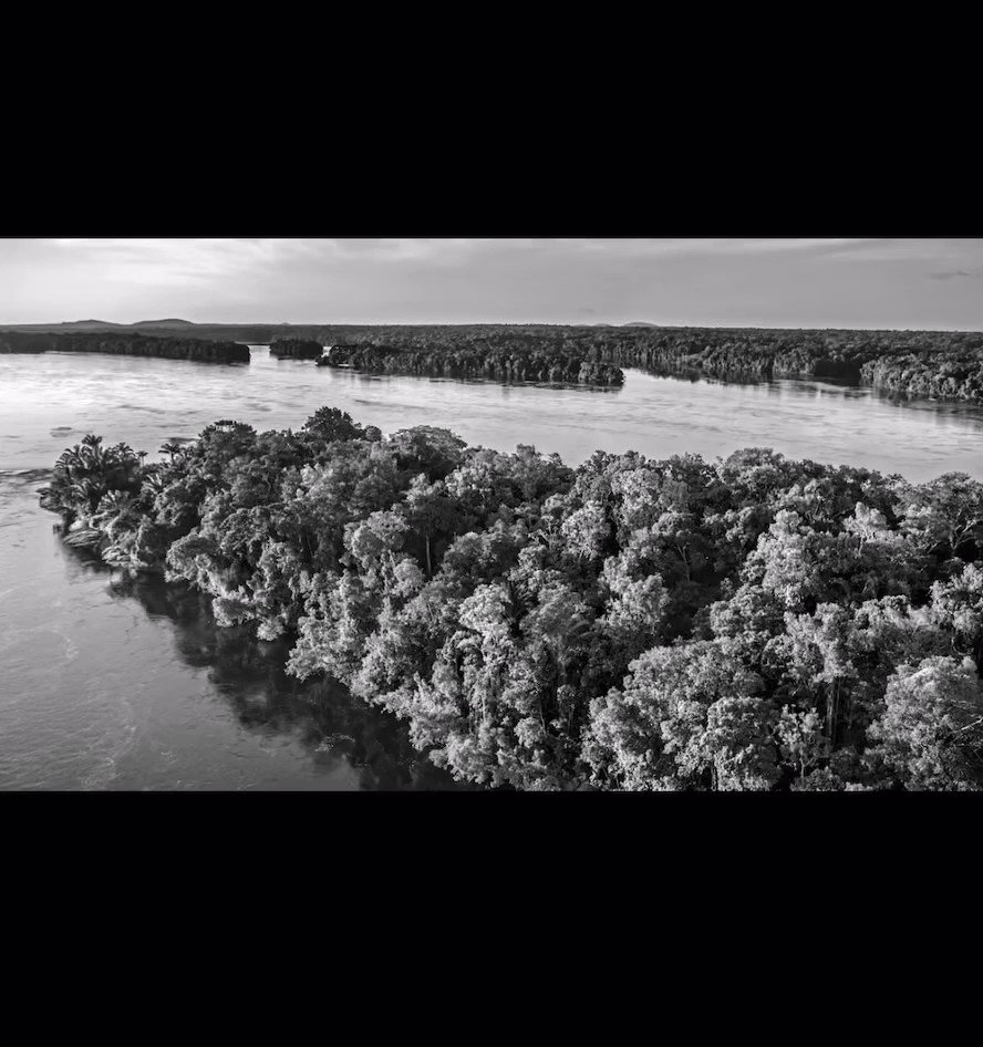 Sotheby's Metaverse on Twitter "We're excited to share that Sebastião