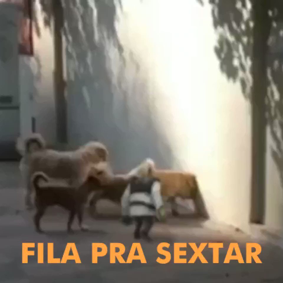 SEXTOU HEIN! 🥱😗 #shrek #shrek2 ##shrekmeme ##sextou #sextafeira