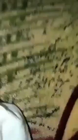 https://t.co/AQULObFZu5 - Twitterの動画をダウンロード 