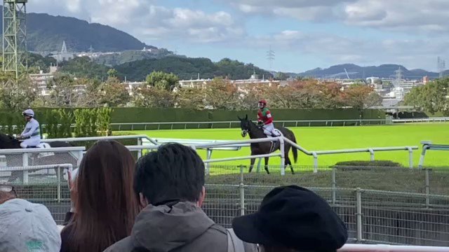 アンジュミニョン3着頑張った😆
無事で何より！
お疲れさまでした✨✨ 