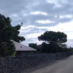 ツイートに含まれる画像