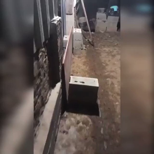 João Pereira (@jpmpereira07) / X