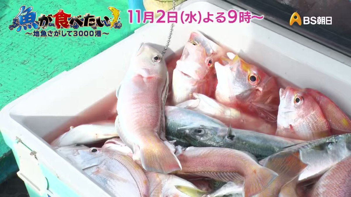 魚が食べたい 毎週水曜よる9時 Bs朝日 Fish Eat Bsa Twitter