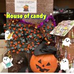 ツイートに含まれる画像