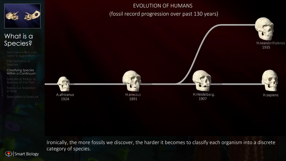Smart Biology (@SmartBiology3D) / Twitter Smart Biology (@SmartBiology3D) / Twitter