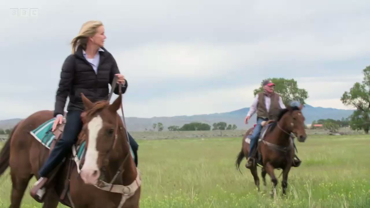 Katty Kay on Twitter "What does wrangling cattle have to do with Trump and the midterms? This