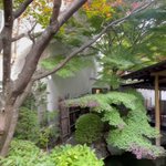 ツイートに含まれる画像