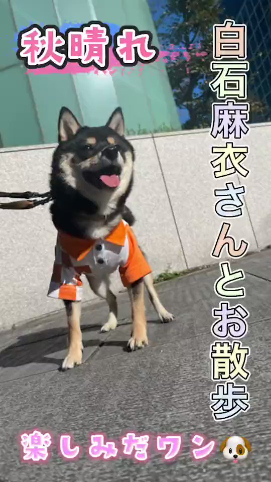 Twitter Image