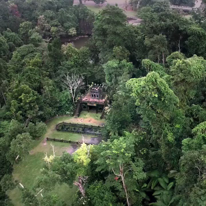 皆さん、　こちらの映像に出てくる男性をご存知ですか？(知らないですよね！)
なんとなんと！　パロネラさん、　ではなくマークさん😎我がパークの現役オーナーです🥰🥰

現地で会えるかも😍 