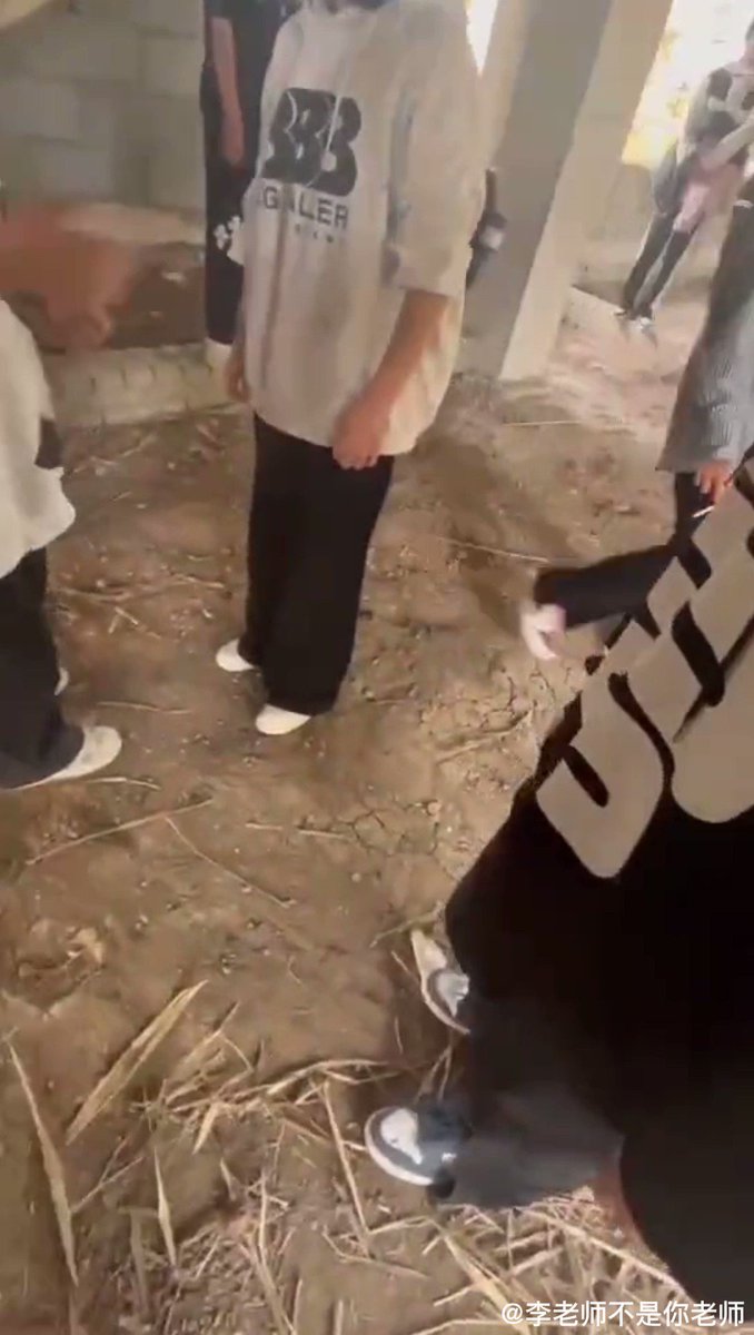 校园欺凌女生打架扒衣服    -> 