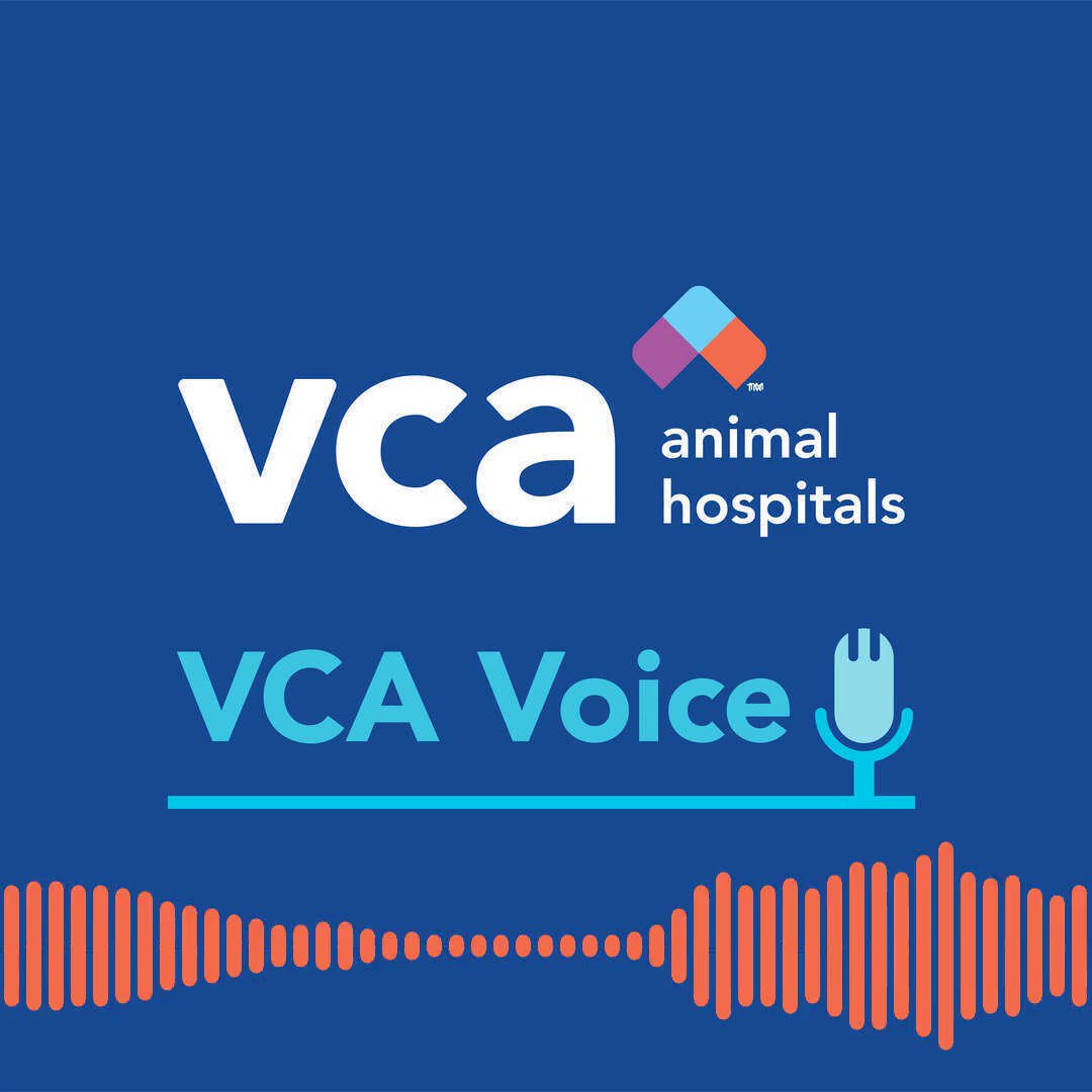 vcapethealth (@VCAPetHealth) / Twitter vcapethealth (@VCAPetHealth) / Twitter