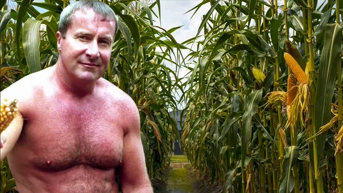 Jim in Cornfield VIEW THE NUDES from this shoot on his page at https://t.co/oAwhABJ0gw  --  #cornfield