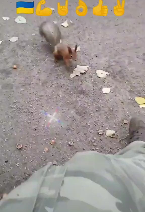 [情報] 烏軍官方戰報&統計 (11/6)