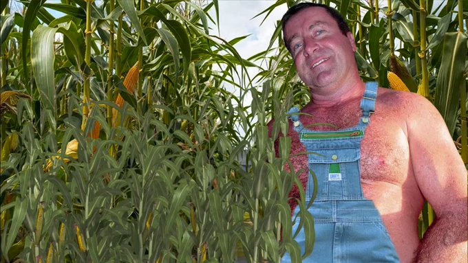 Musclebear Farmer VIEW HIS DAILY FARM POSTS on his page https://t.co/QKEcgtKNV0   --  #musclebear #farm