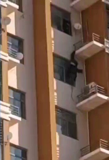 @wuwenhang's video Tweet