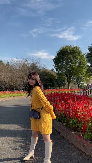 豊田ルナ
