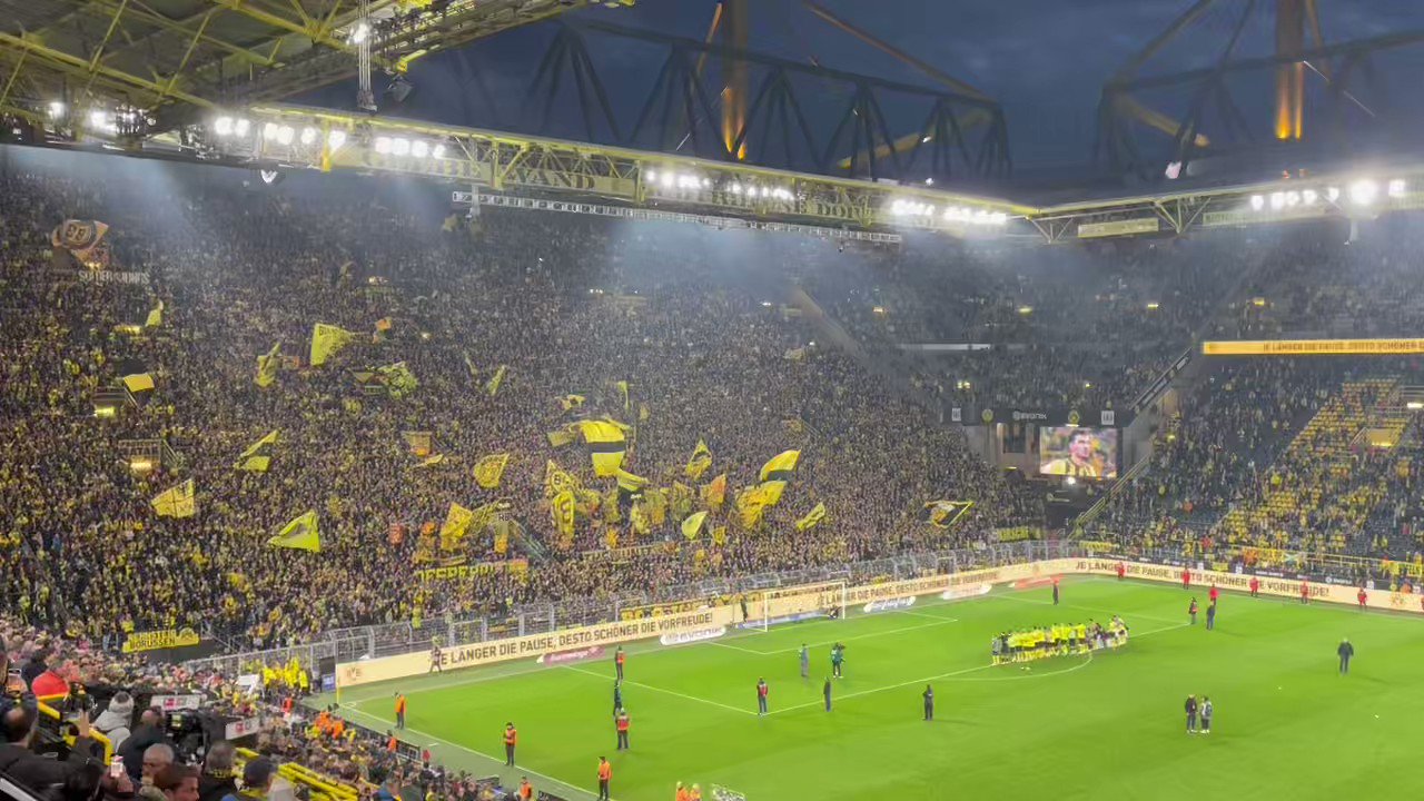 Borussia Dortmund on Twitter "Liebe. Borussia! 💛 https//t.co
