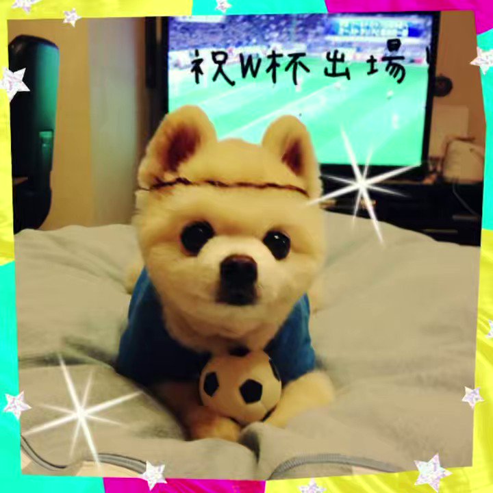 Shun Mama Keep0109 Twitter