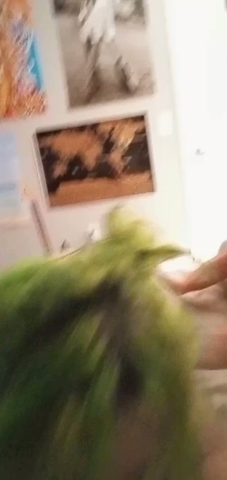 Spank me harder next time!!!!  22  OF is 40% off  #spankingirl #spank #nsfwtw #NoNutNovember #onlyfans<a href="/tag/spank"class="tags"><span>#spank</span></a><a href="/tag/onlyfans"class="tags"><span>#onlyfans</span></a><a href="/tag/nonutnovember"class="tags"><span>#nonutnovember</span></a><a href="/tag/bigassgirl"class="tags"><span>#bigassgirl</span></a><a href="/tag/onlyfanspromo"class="tags"><span>#onlyfanspromo</span></a>