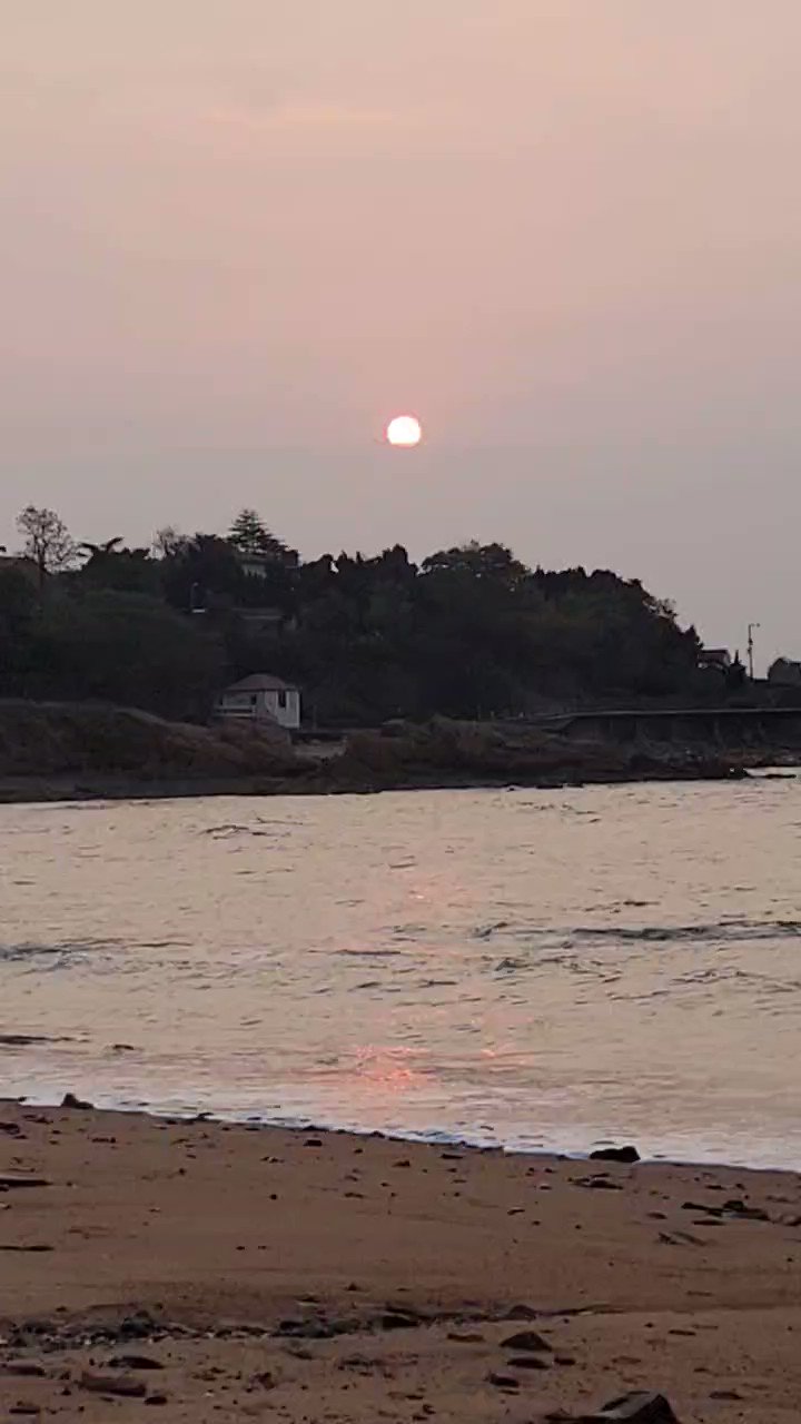 山野村夫 (kfpf0wzNd4tbFgN) / Twitter