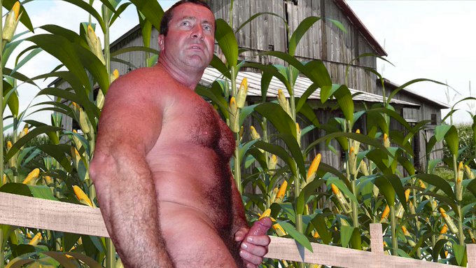 Wanking in Cornfield VIEW ALL THE SCENES from this shoot on his page https://t.co/oAwhABJy64   --  #cornfield