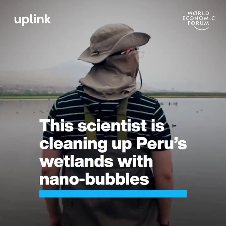 Scientist Marino Morikawa is cleaning up Peru's Wetlands with nano-bubbles. #nature #Conservation #Environment #technology #wetlands #solutions #peru #southamerica #rivers #pollution #biodiversity #nanotechnology 
 https://t.co/ov7sFttPTB