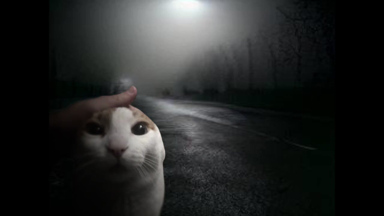 Blue on Twitter "i cut silent hill menu sfx to use so idk I put cat