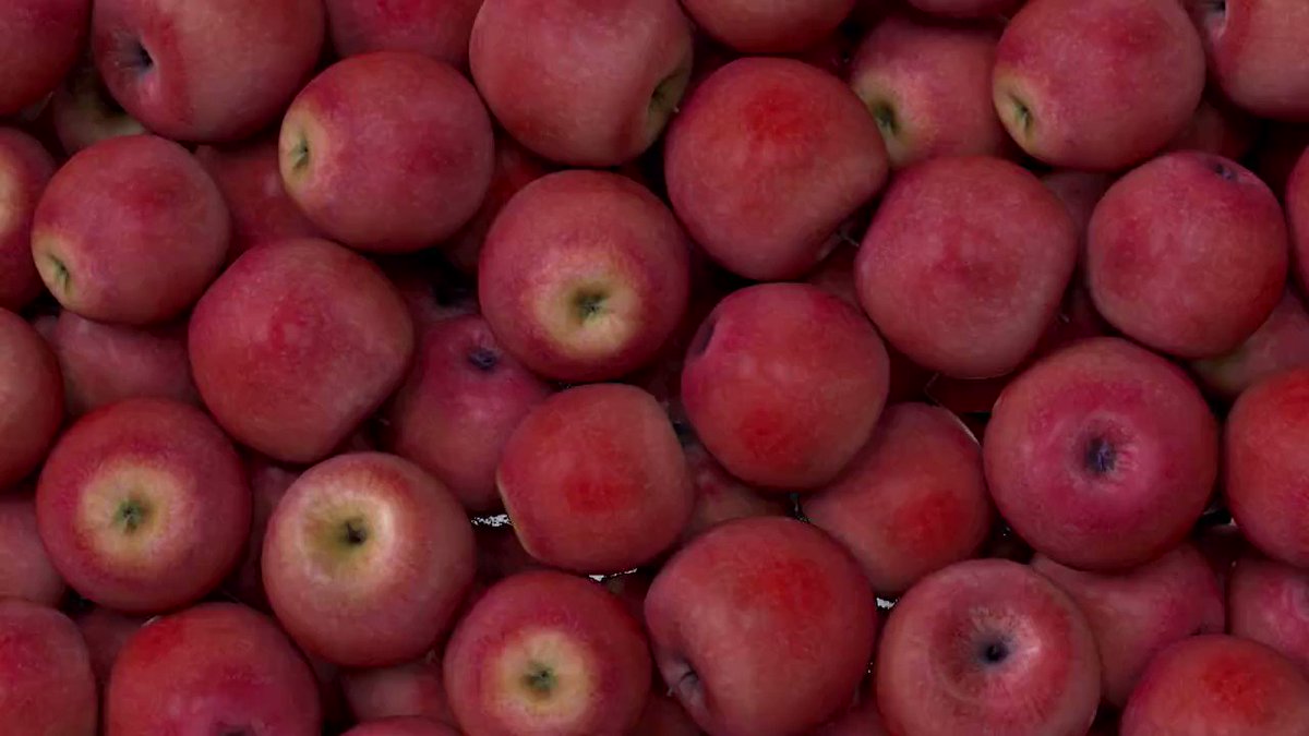 Wenatchee Wild on Twitter "😍 Yeah, we fancy like Applebee's on a date