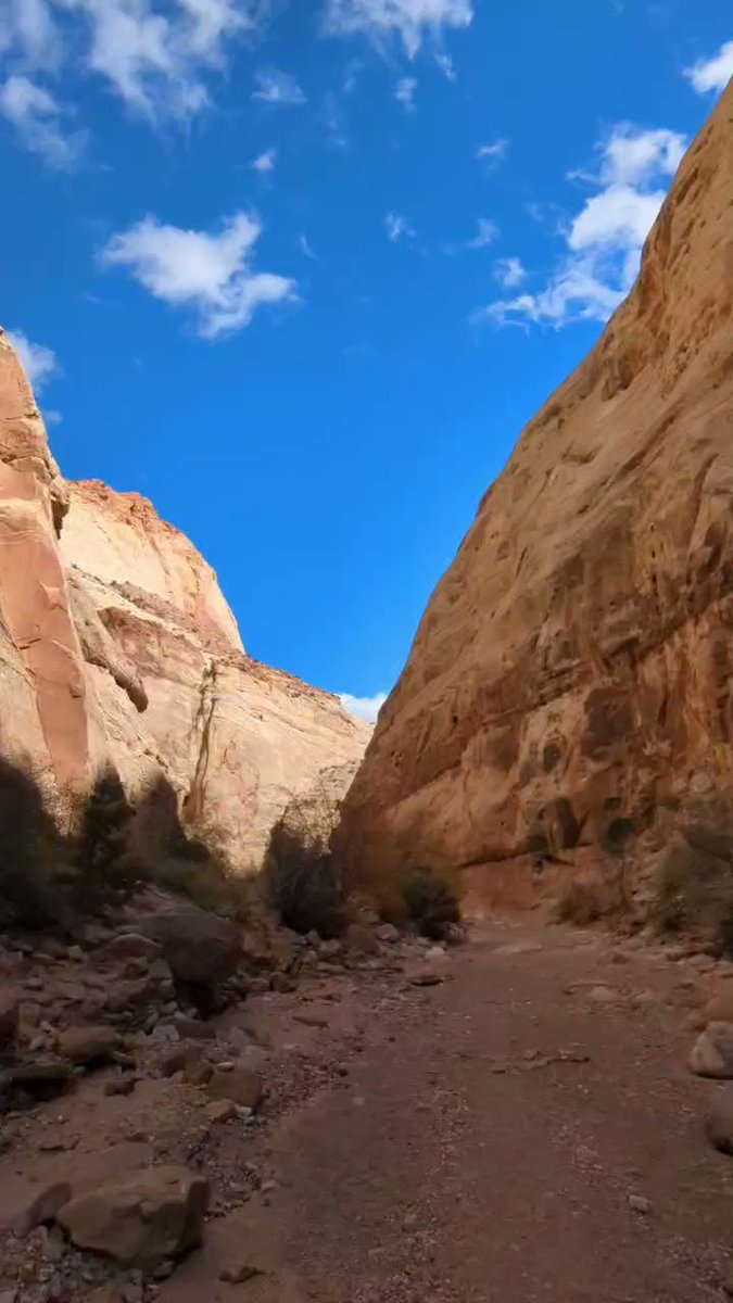 Capitol Reef National Park キャピトル リーフ国立公園 日本最大級のsns映え観光情報 スナップレイス