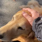 世紀末覇王Dahakaのツイート画像