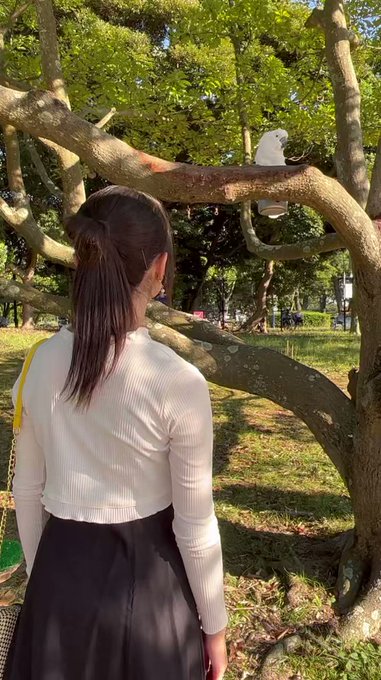 Twitterのコスプレ動画4