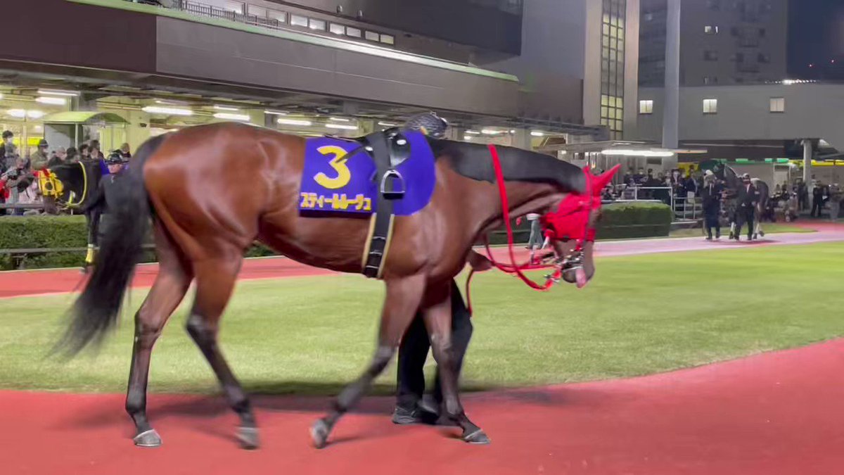 グラシーナ以来の注目超大型馬！
やっぱり600オーバークラスは本当にデカワイイw

きっとグラシーナもお空の上で活躍を楽しみにしてるよ。

あと30キロ増えて１勝すれば間違いなくJRA最高馬体重勝利記録になるなーw 