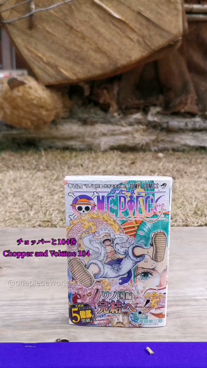 ワンピース104巻 - Search / X