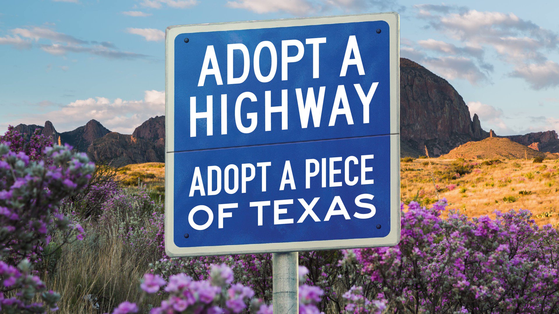 Don’t mess with Texas on Twitter: "If you decide to #AdoptAHighway