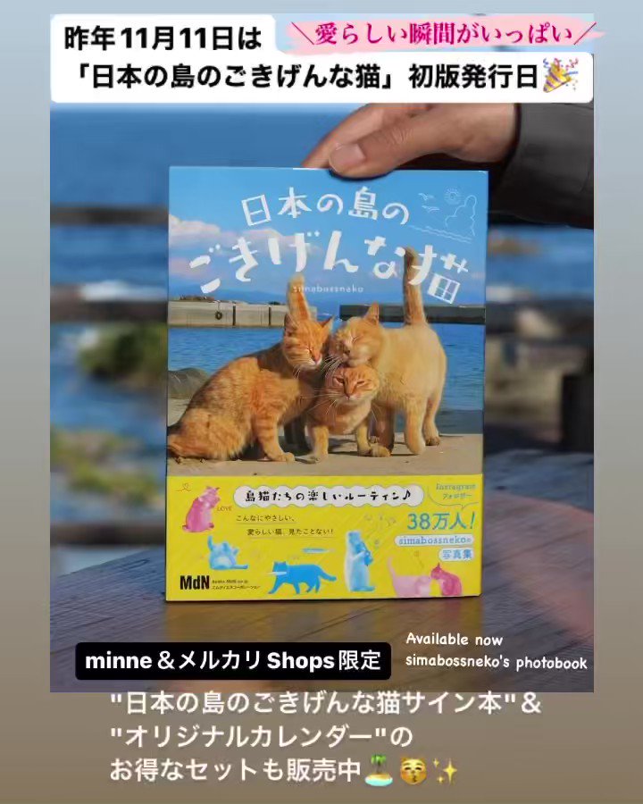 日本産】 猫と南の島LOVE様専用 ecousarecycling.com