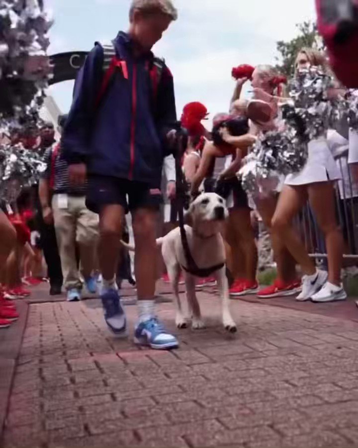 Juice Kiffin on Twitter ".olemissfb lanekiffin Stay ahead of the