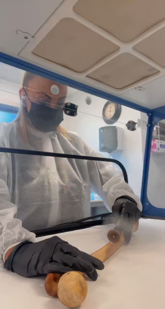 ⚡️Stephanie Harlowe ⚡️ (steph_harlowe) / Twitter