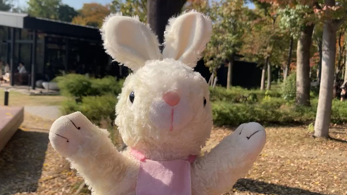 ちゃんとホールにたどり着けるかな💦
チャコリーナもどきどきする❤
(∩´∀`∩) 