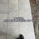 ツイートに含まれる画像