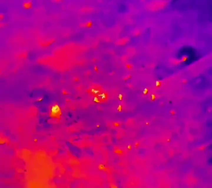 烏軍靠夜視儀獵殺俄國一前線陣地