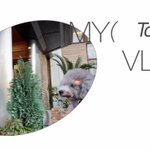 ツイートに含まれる画像