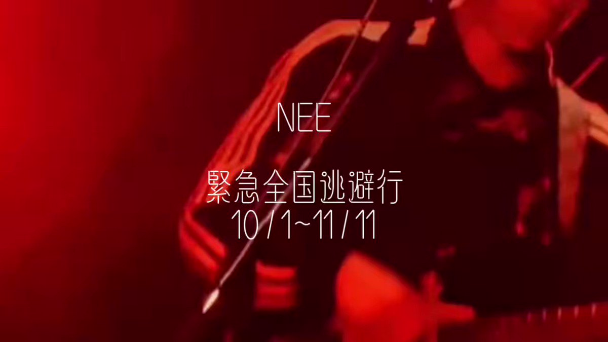 本日超得 NEE トレーディングチェキ風カード かほ ピック 佐神弾