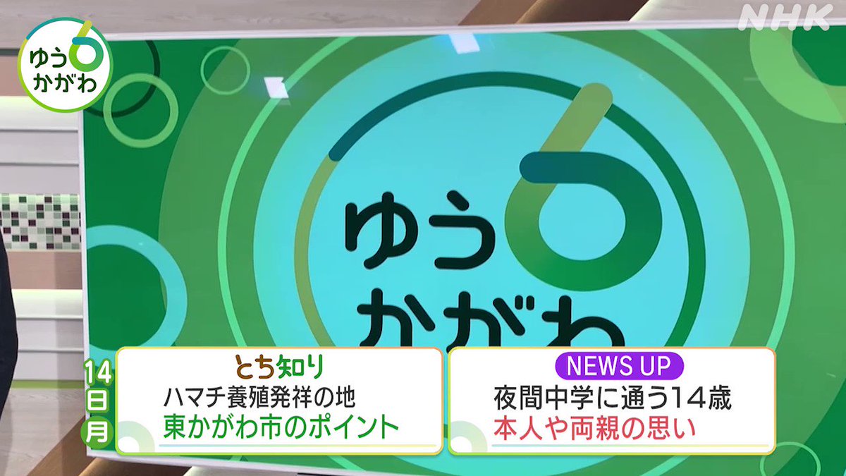 専用ページ(ひなパパ様)-