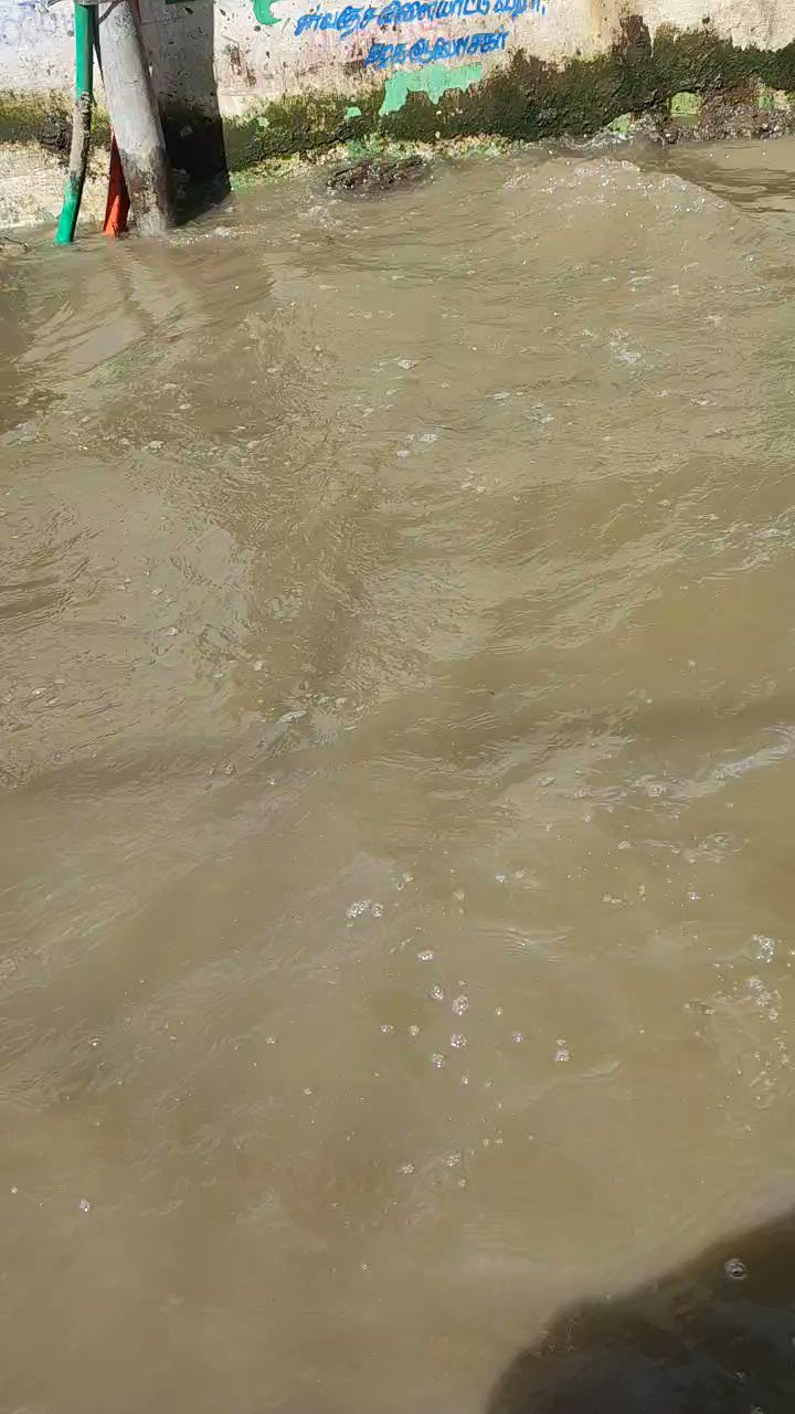 Lorem Ipsum 🇮🇳 on Twitter "It's vadapalani Kumaran colony, No suction