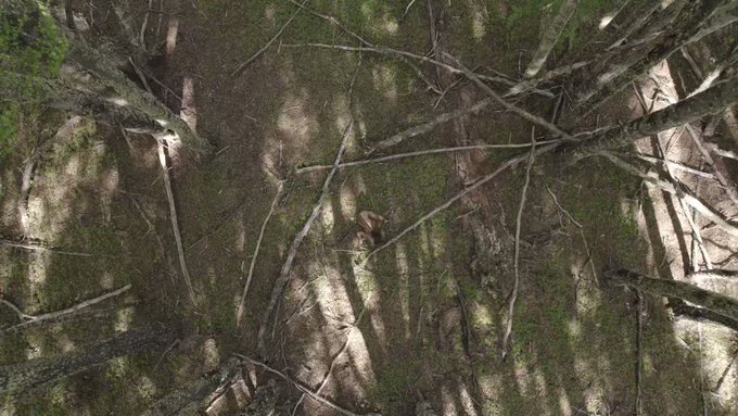 returning  - drone and I in Ays&eacute;n, Patagonia - https://t.co/CY18lBzpsd