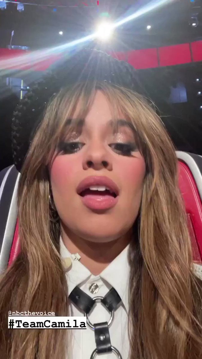 camila-cabello-worldwide-on-twitter-camila-s-instagram-story-11