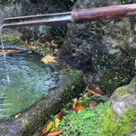 ウェルネスツーリズム専門旅行会社 ウェルネス・ツアーのツイート画像
