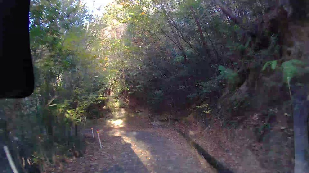 国道383号の最新通行止情報 今日現在・リアルタイム速報｜ナウティス