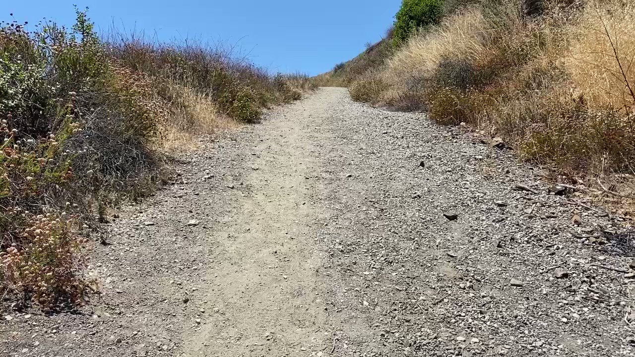 Nudist Beach Pics on Twitter "Flashing with my friend on a hike (OC